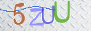 验证图片