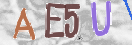 验证图片