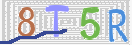 验证图片
