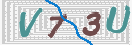 验证图片