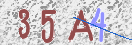 验证图片