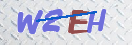 验证图片