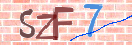 验证图片