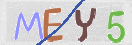 验证图片