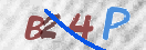 验证图片