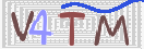 验证图片
