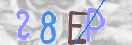 验证图片