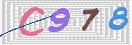验证图片