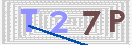 验证图片