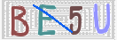 验证图片