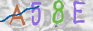 验证图片