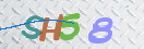 验证图片