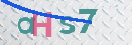验证图片