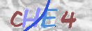 验证图片