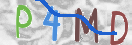 验证图片