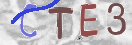 验证图片