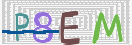 验证图片
