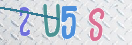 验证图片