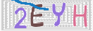 验证图片
