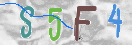 验证图片
