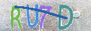 验证图片