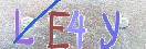验证图片