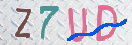 验证图片