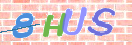 验证图片