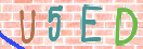 验证图片