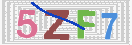 验证图片
