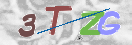 验证图片