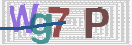 验证图片