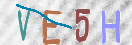 验证图片