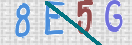 验证图片