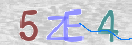 验证图片