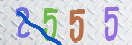 验证图片
