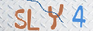 验证图片