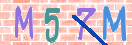 验证图片