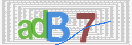 验证图片