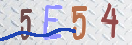 验证图片