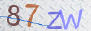 验证图片