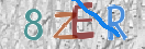 验证图片