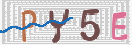验证图片