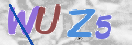 验证图片