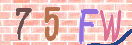 验证图片