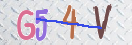 验证图片