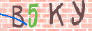 验证图片