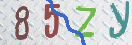 验证图片