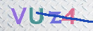 验证图片