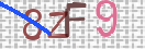 验证图片